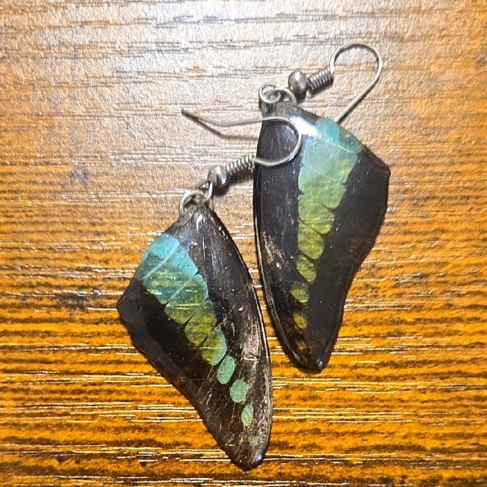 Real Butterfly Wing Earrings